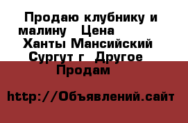 Продаю клубнику и малину › Цена ­ 1 600 - Ханты-Мансийский, Сургут г. Другое » Продам   